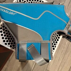 Vivaglory Blue and Gray Dog Life Jacket